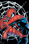 Spectacular Spider-Man #12 
